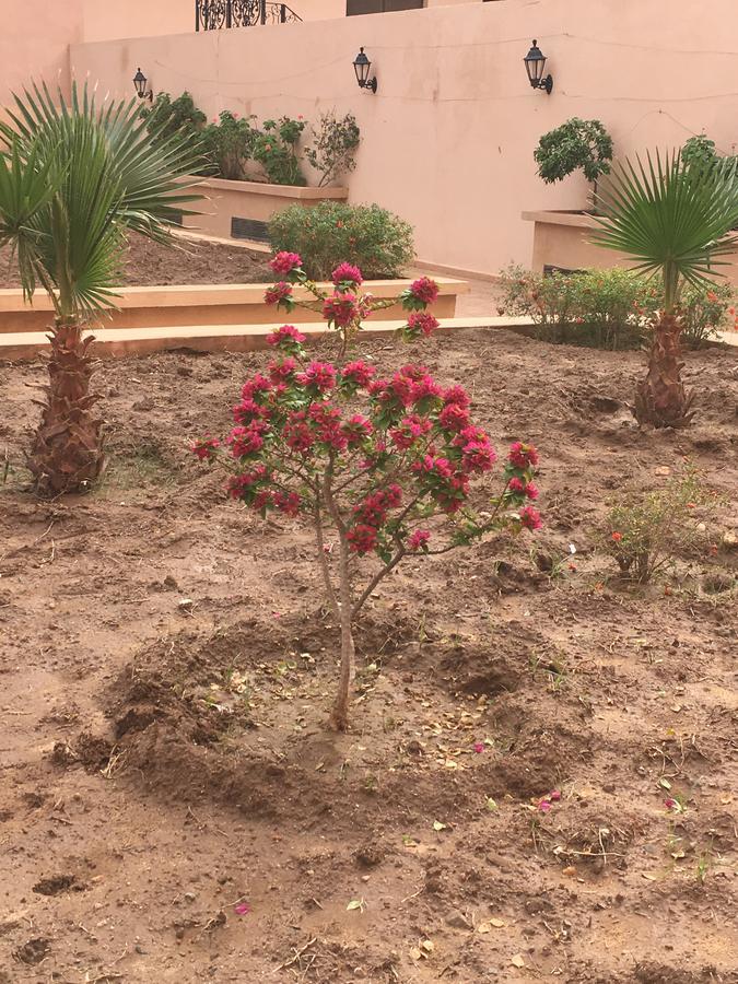 Appartement Elias Marrakech Marrakesh Exteriör bild